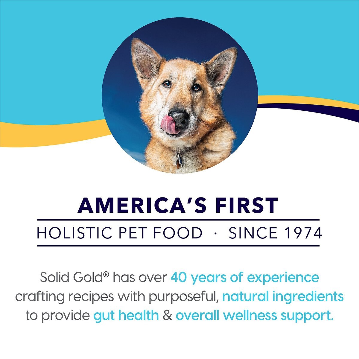 Solid Gold NutrientBoost Hund-N-Flocken Lamb， Brown Rice and Pearled Barley Recipe Adult Dry Dog Food