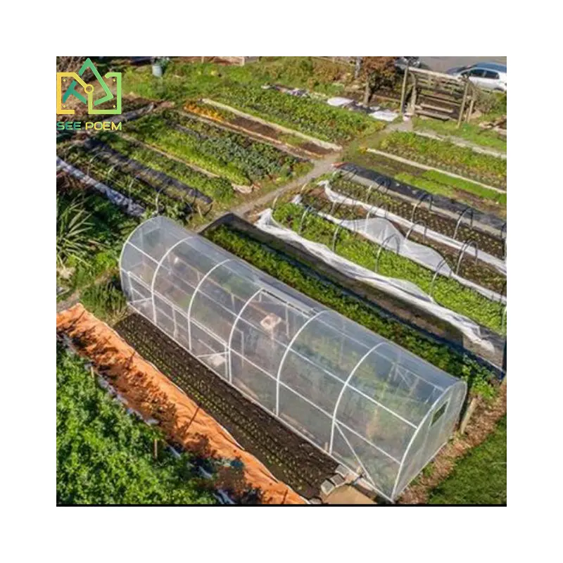 Clear Garden Tunnel  Greenhouse with Garden supplies