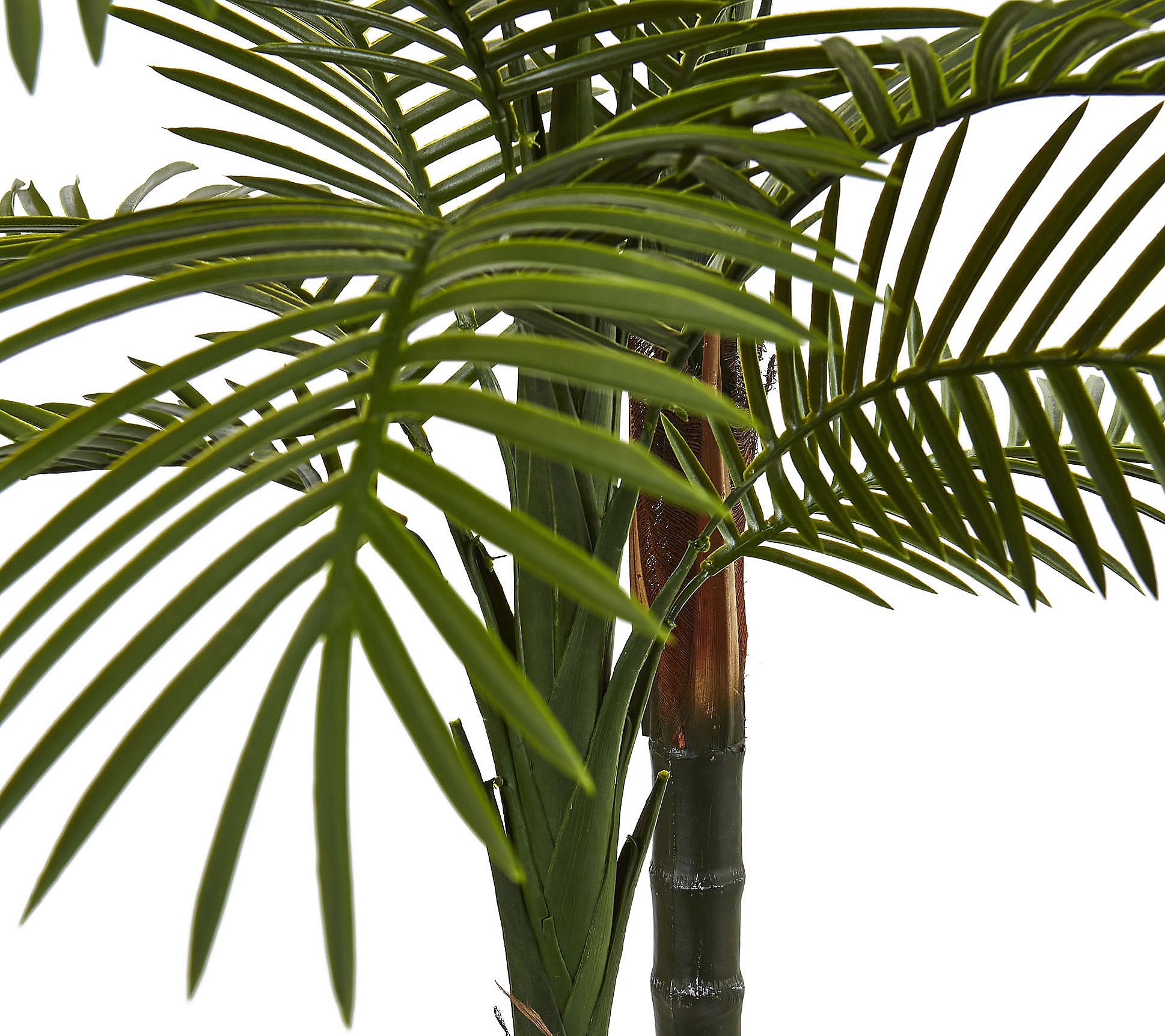 5.5' Double Robellini Palm Tree by Nearly Natural