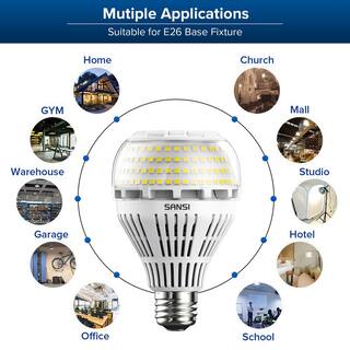 250-Watt Equivalent A21 Non-Dimmable 270 Omni-Directional LED Light Bulb Daylight in 5000K (2-Pack) 01-02-001-012750