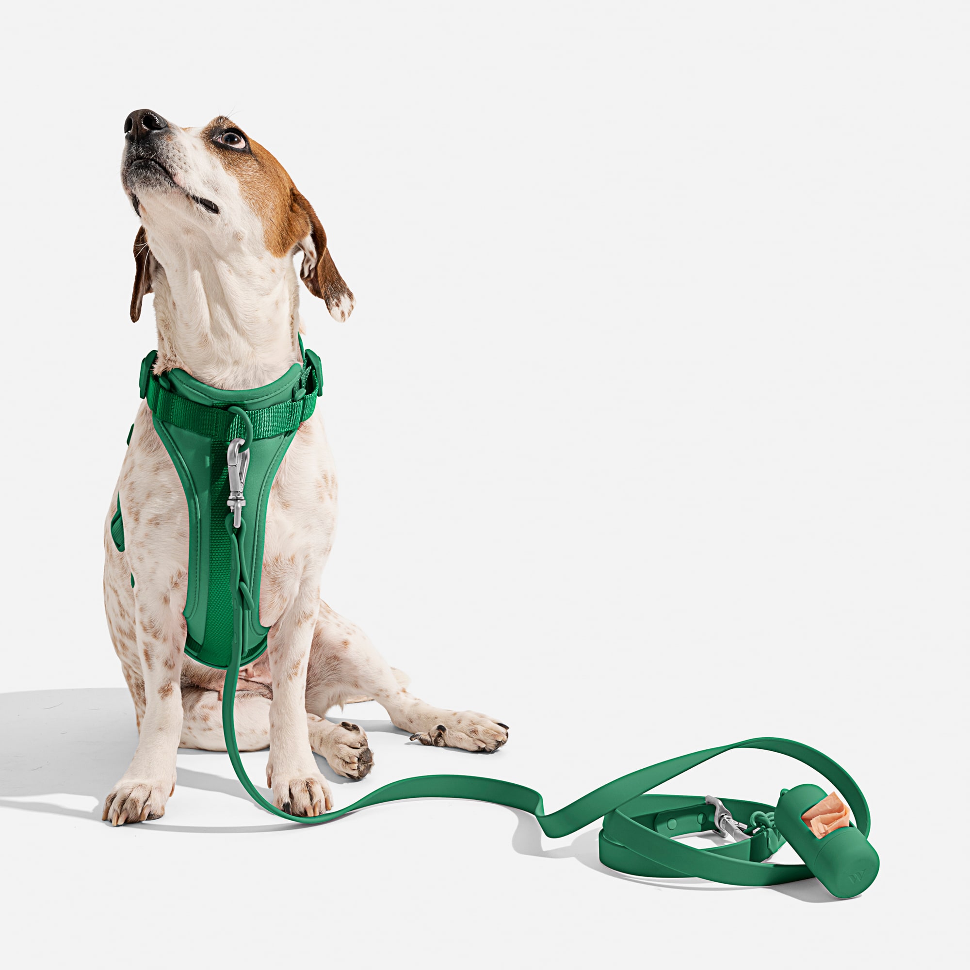 Wild One Spruce Dog Harness， Medium