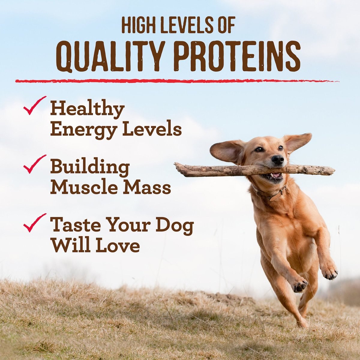 Merrick Grain-Free Large Breed Dry Dog Food Real Chicken and Sweet Potato Recipe