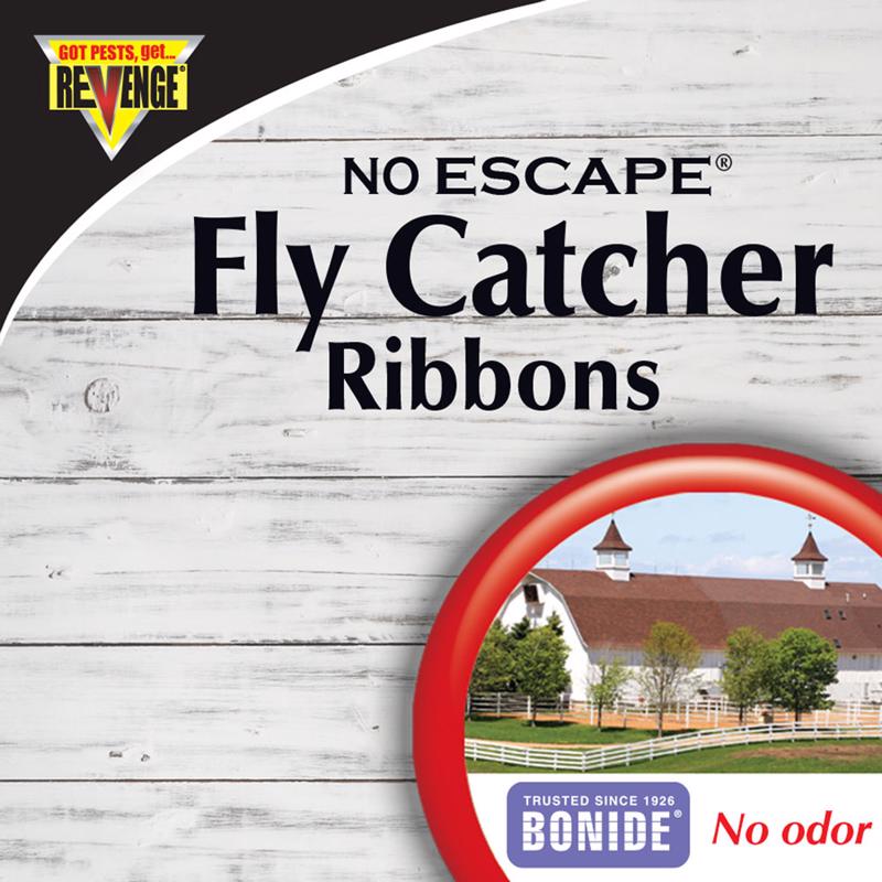 FLY CATCHERS 5 PACK