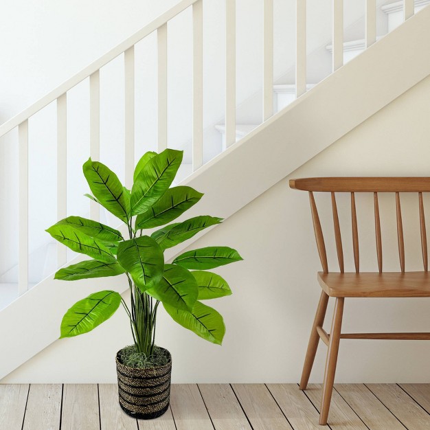 Artificial Rubber Plant Natural Rattan Basket In Black Lcg Florals