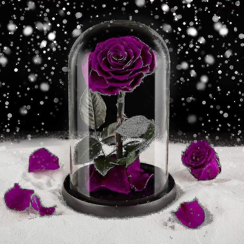 Preserved Real Rose Eternal Rose In Glass Dome Gift For Her Thanksgiving Christmas Valentine's Day B