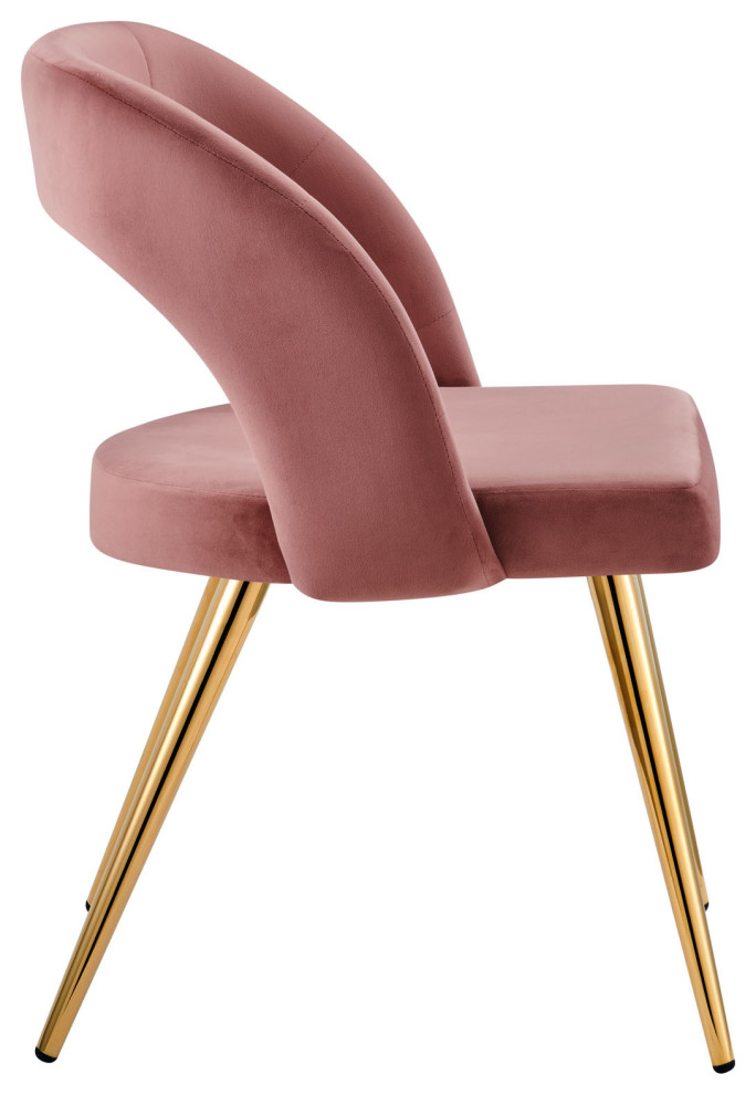 Modway Marciano Performance Velvet dining chair   Dining Chairs   by Dot  ampBo  Houzz