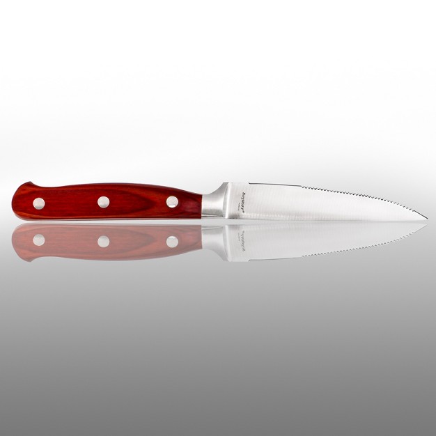 Berghoff Pakka Stainless Steel Steak Knife Set