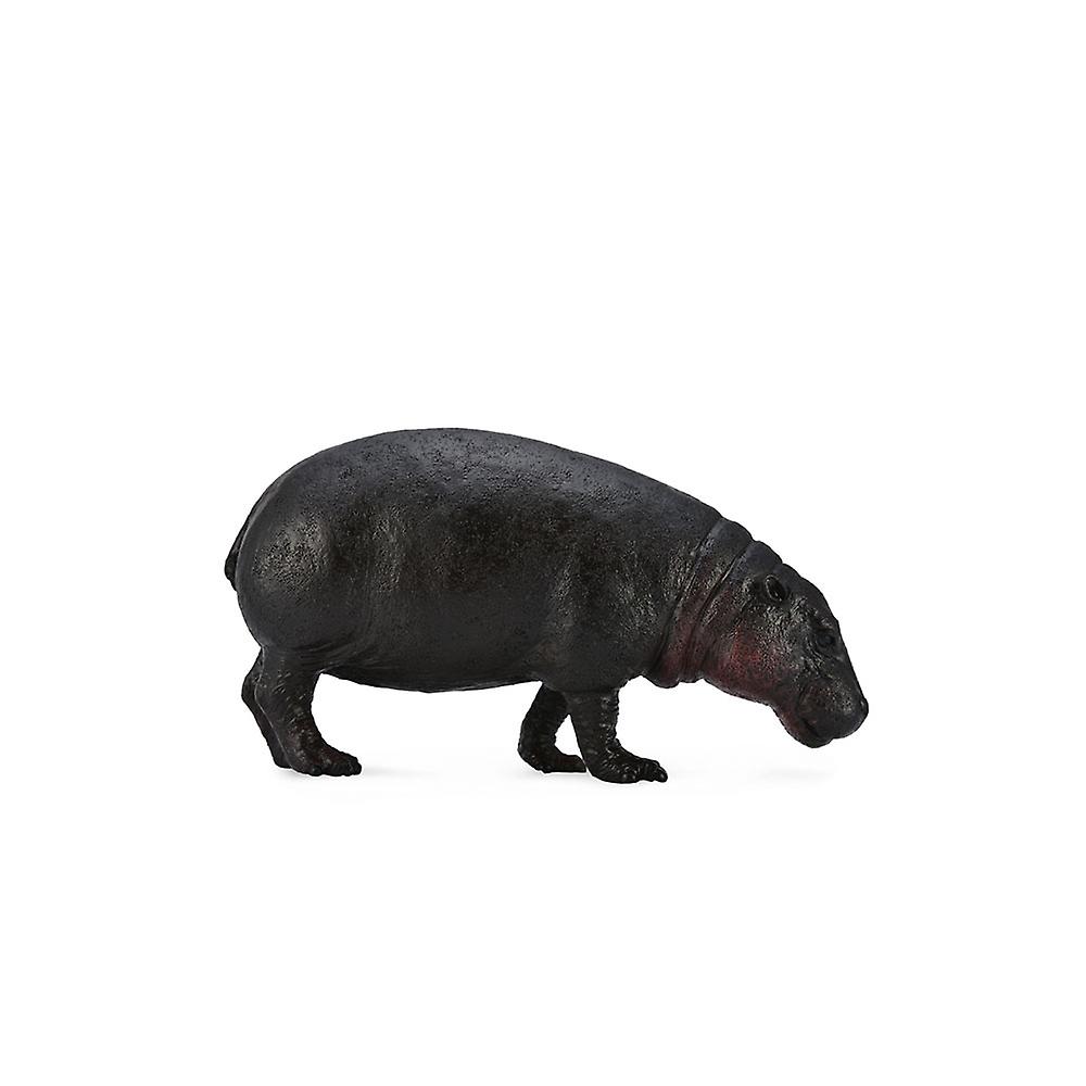 CollectA Pygmy Hippopotamus Figure (Large)