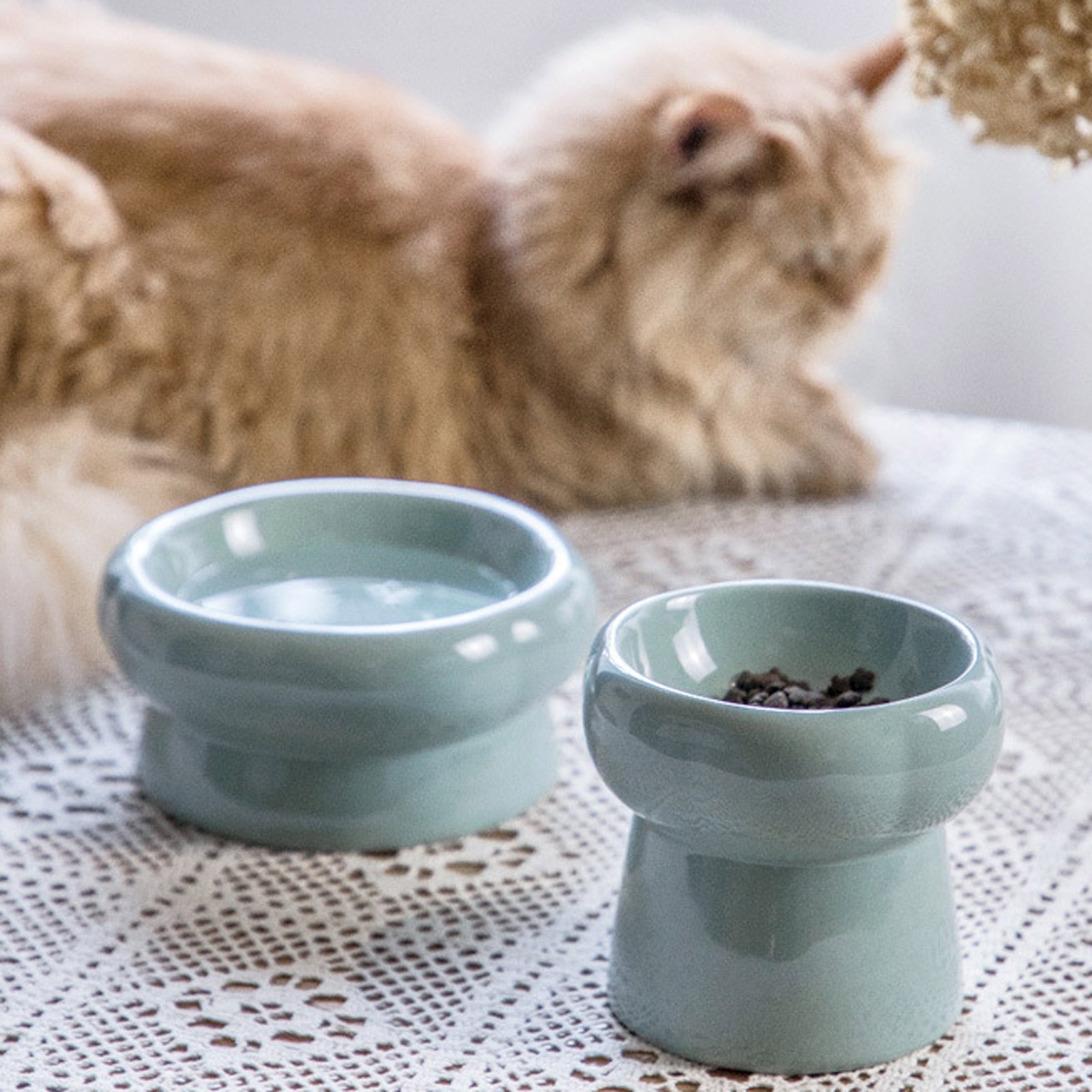 BToBackyard Ceramic Cat Bowl Raised Cat Bowls Elevated Cat Food Bowls Water Bowl with Stand Ceramic Cat Feeding Bowls Pet Food & Water Bowls