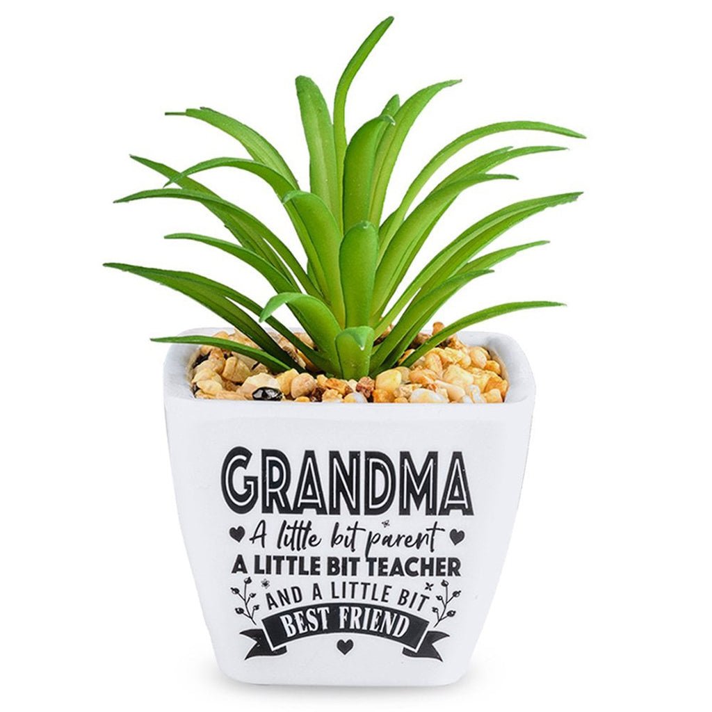 H & H Gifts  Succulent - Grandma