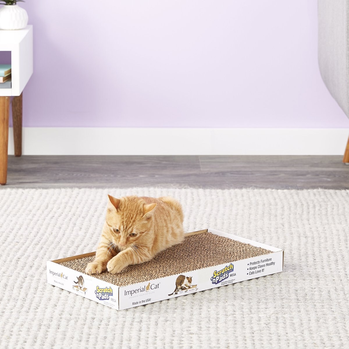 Imperial Cat Scratch'n Pad Cat Scratcher