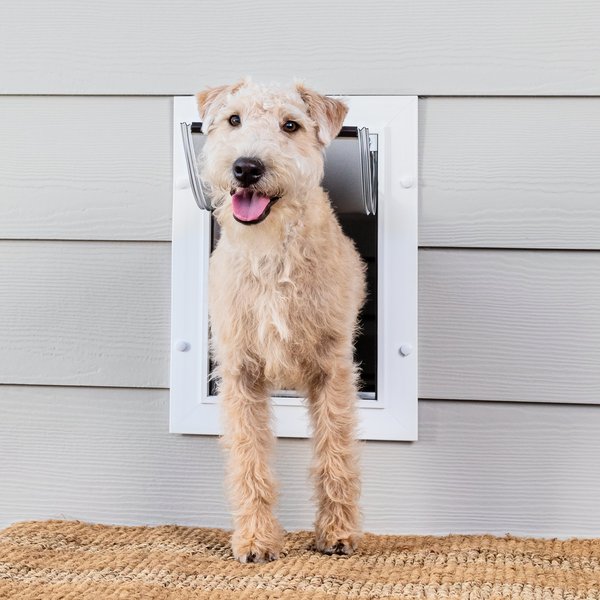 PetSafe Wall Entry Dual Flap Pet Door with Closing Panel， White