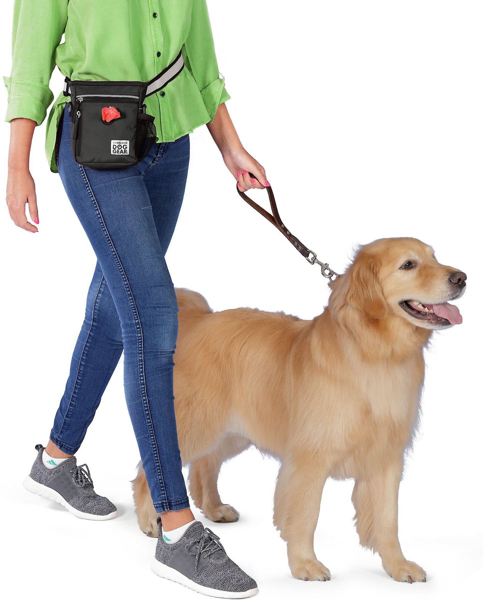 Mobile Dog Gear Day/Night Dog Walking Bag