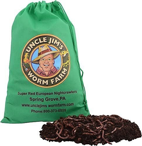 Uncle Jim's Worm Farm Super Red European Night Crawler Reptile and Fish Food