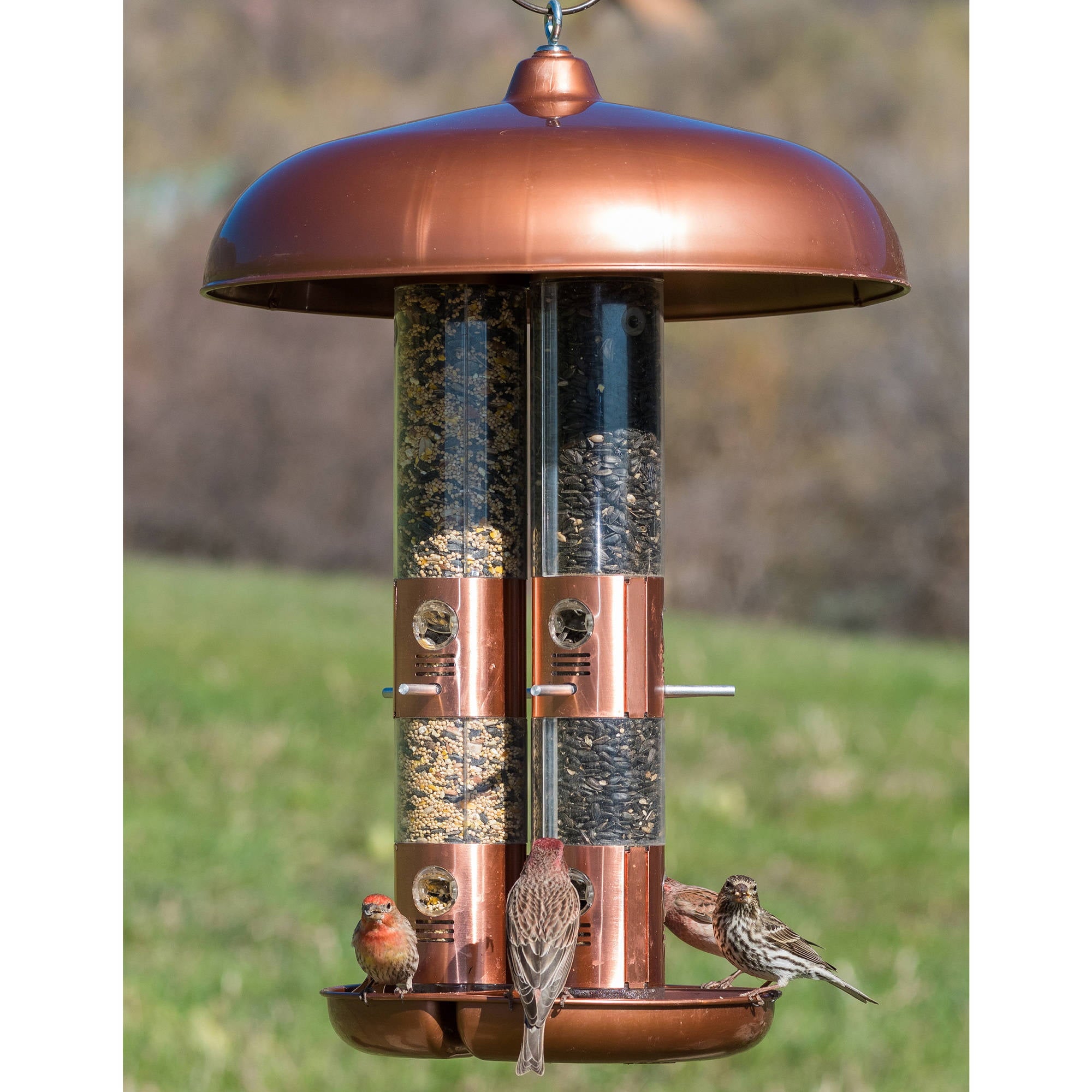 Perky-Pet 10 lb Copper Finish Triple Tube Bird Feeder