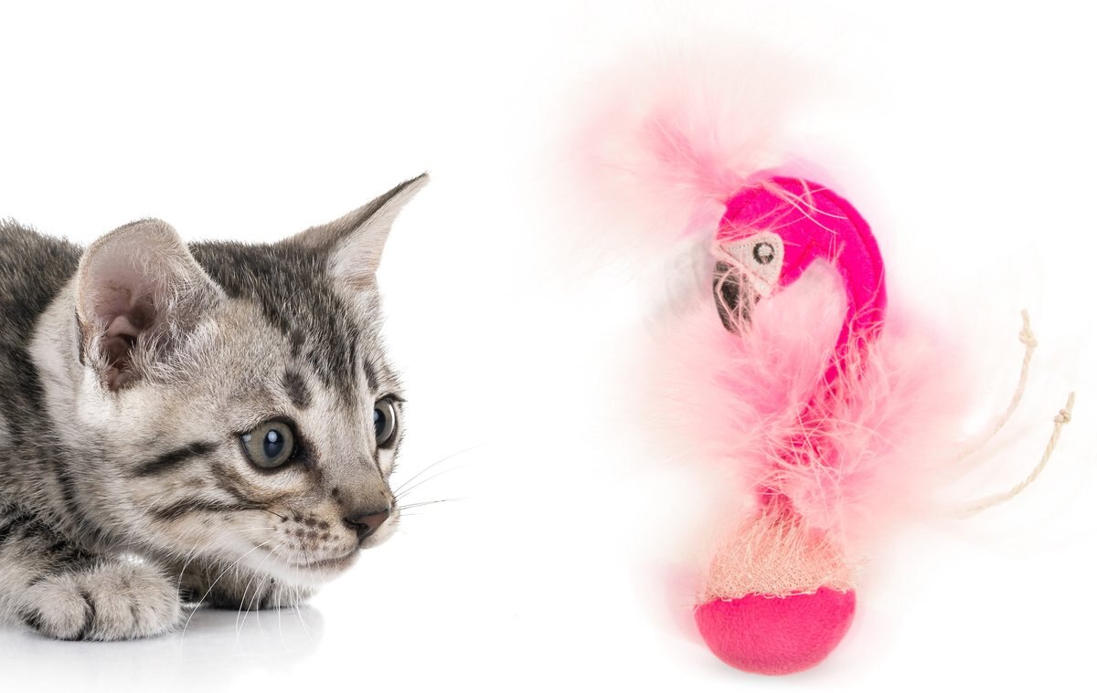 Petlinks Frisky Flamingo Catnip and Silvervine Electronic Sound Cat Toy， Pink， Large