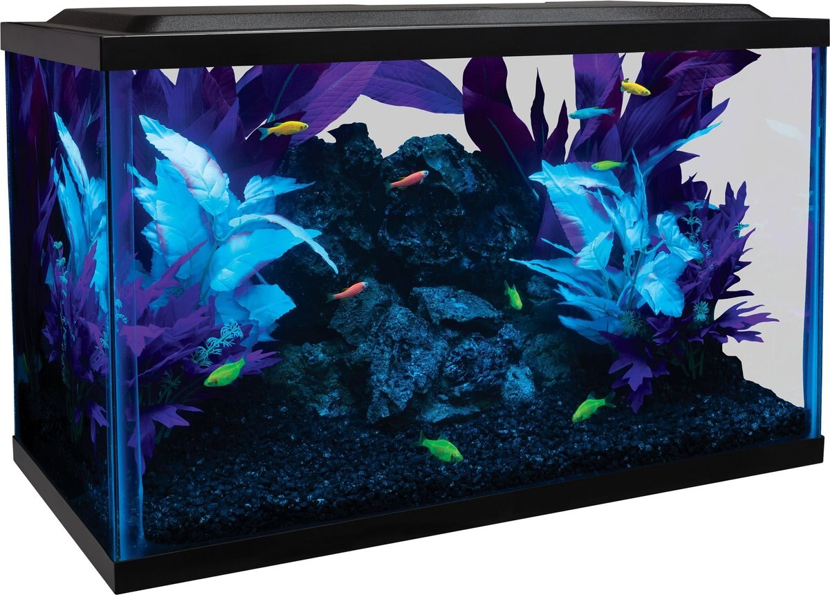 GloFish LED Lighting and Filter Aquarium Kit