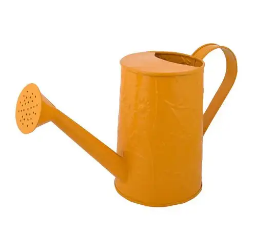 Newest Luxury Metal orange watering can wholesale for outdoor and indoor plants flowers watering can Home Garden made in india