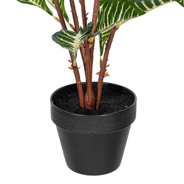 Artificial Green Real Touch Zebra Plant