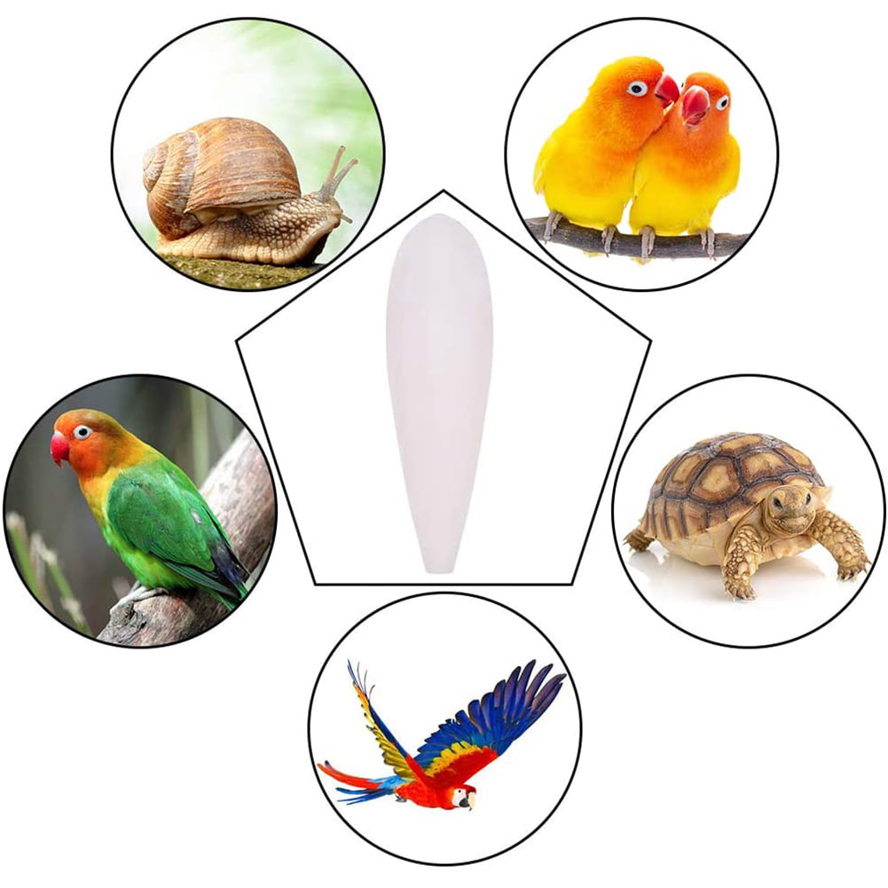 Countdown 12pcs Bird Cuttlebone Chew Toy Cuttlefish Bones Parrot Cage Toys Bird Bite Toy for Aquarium Reptile Tortoise Turtle Cockatiel 14cm