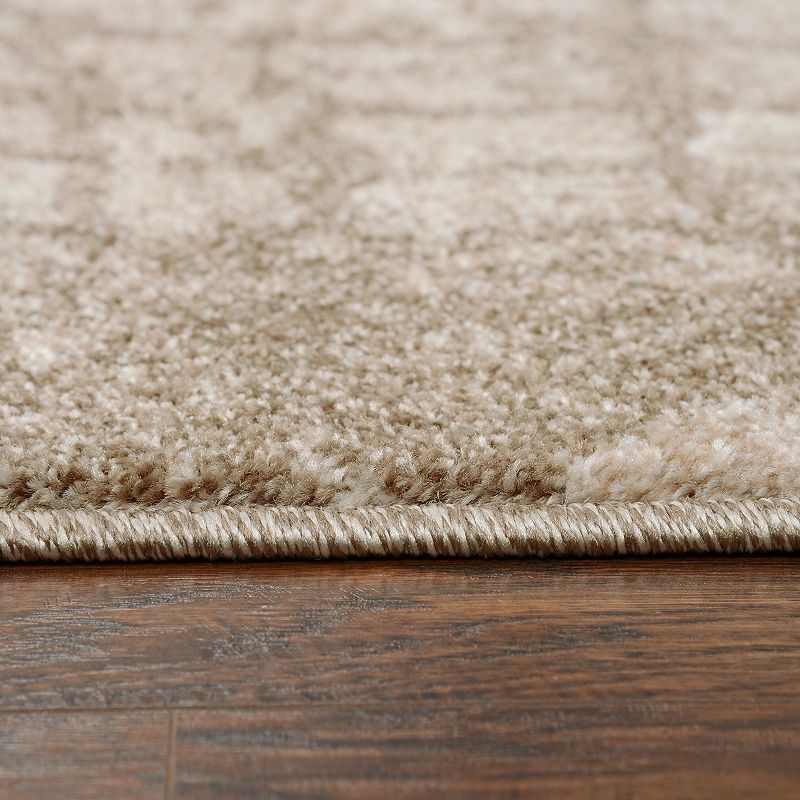 Rizzy Home Jennifer Valencia Beige Area Rug