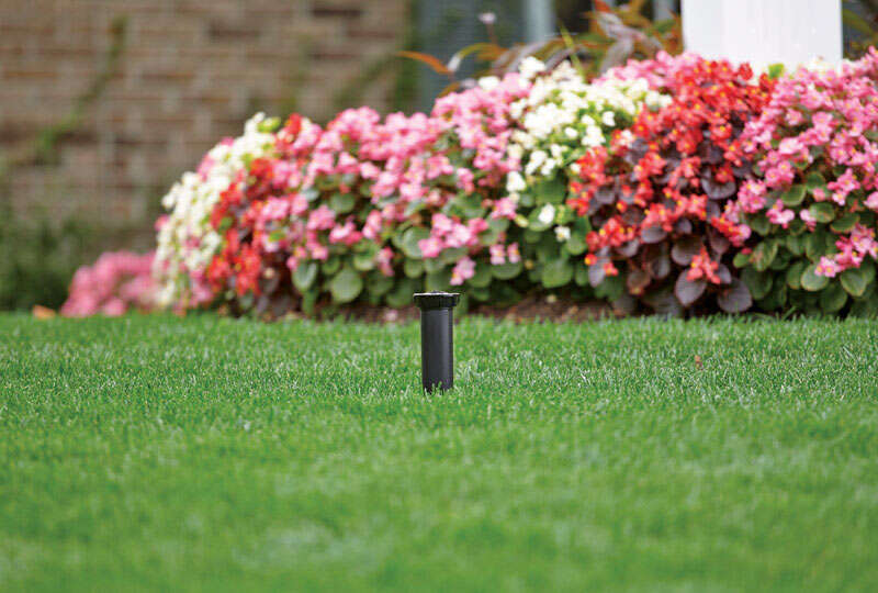 Rain Bird 1800 Series Full-Circle Drip Irrigation Micro Spray 1 gph 1 pk