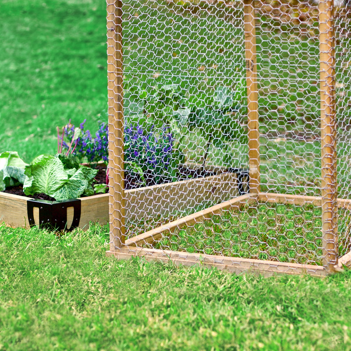 Garden Craft 36 in. H x 50 ft. L Gray Chicken Wire with 1in Openings