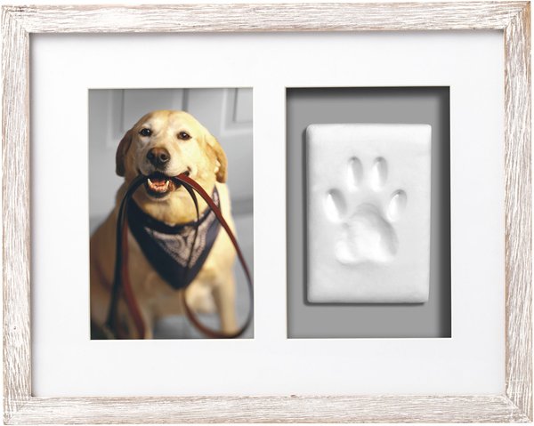 Pearhead Pawprints Wall Picture Frame， 4 x 6-in