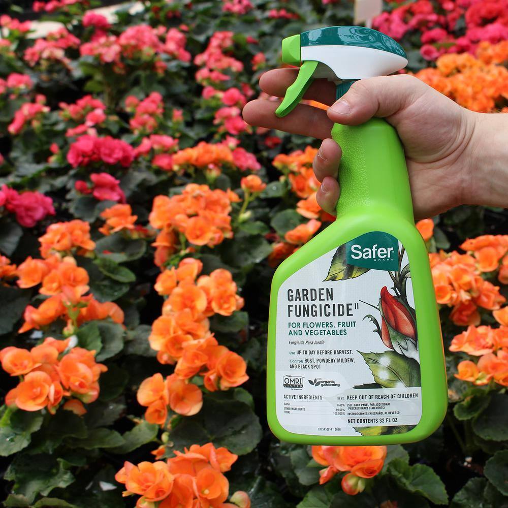 Safer Brand 32 oz. Garden Fungicide Control Ready-to-Use Spray 5450-6