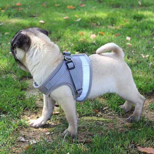 SHIYAO Nylon Dog Vest Harness Patches Reflective Small Large Medium Excellent(Black-L)