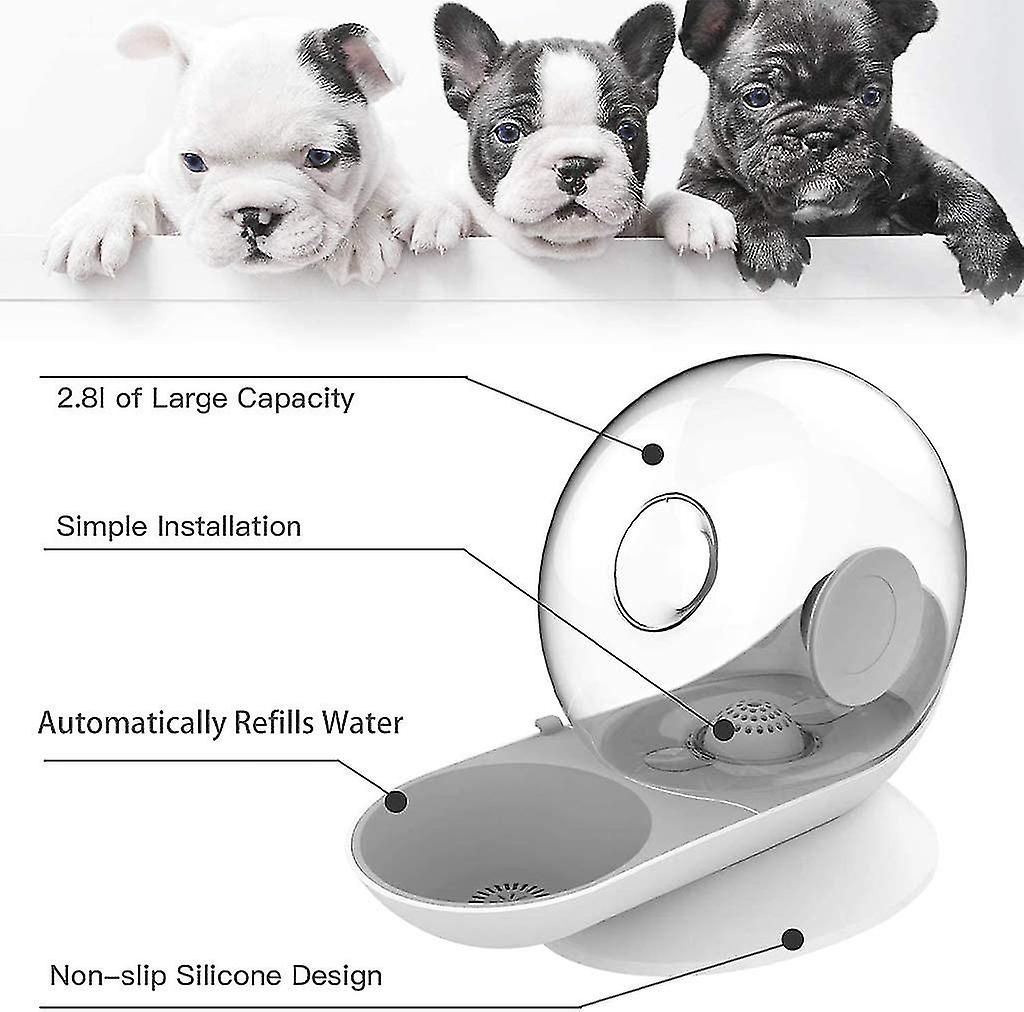 Pet Water Dispenser，snail Shaped Cat Dog Water Bowl Dispenser Automatic Refill 2.8l Plastic Water Dispenser