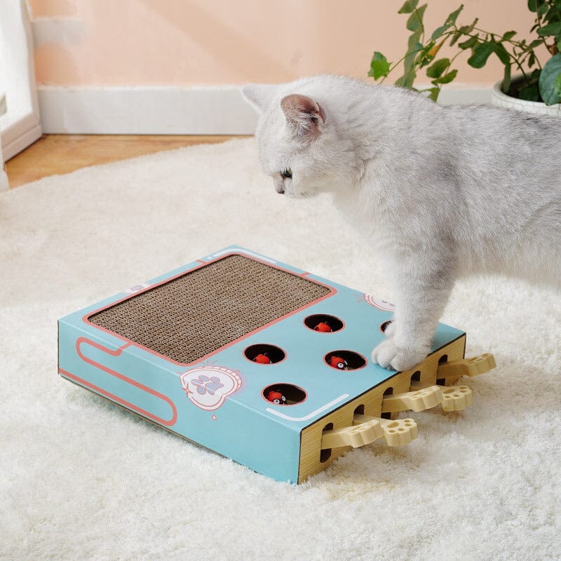 Cat Interactive Toy