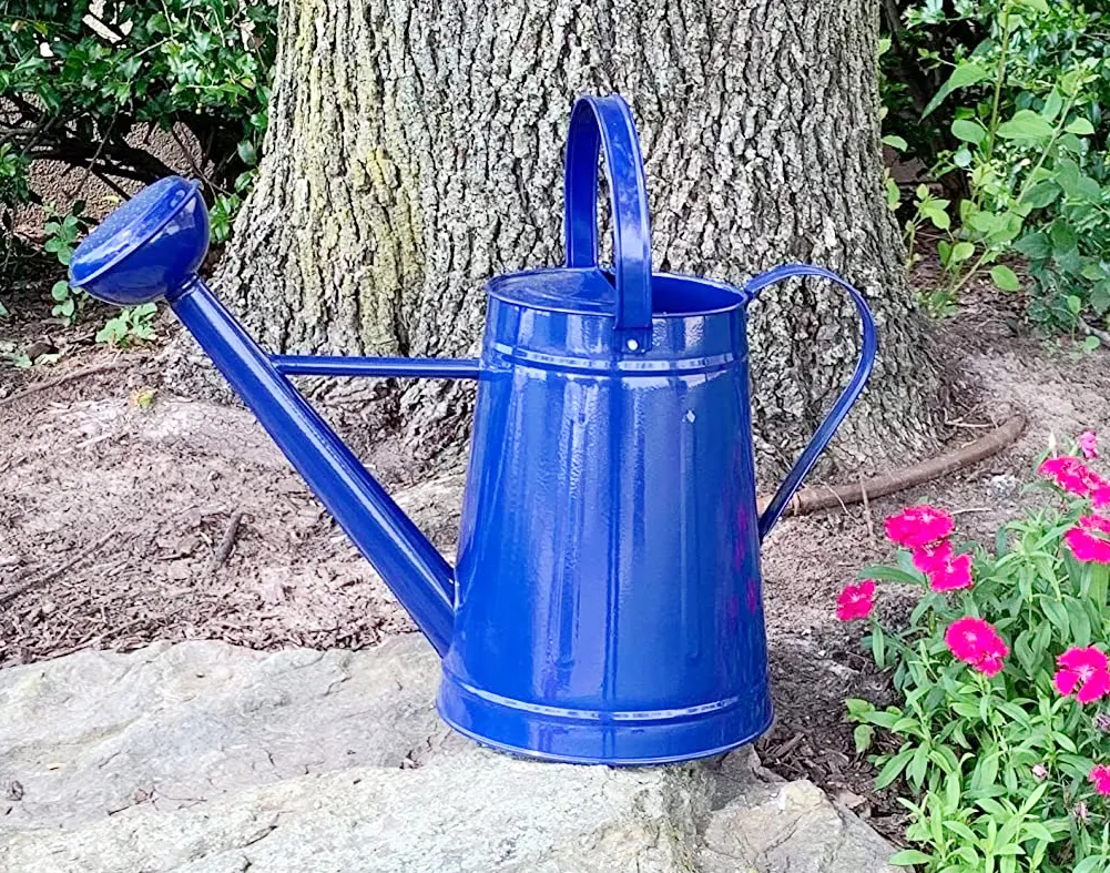 High Selling Watering Can Durable Watering Can for Indoor Outdoor Plant With Easy Pour Goose neck Spout Galvanized Painted Color