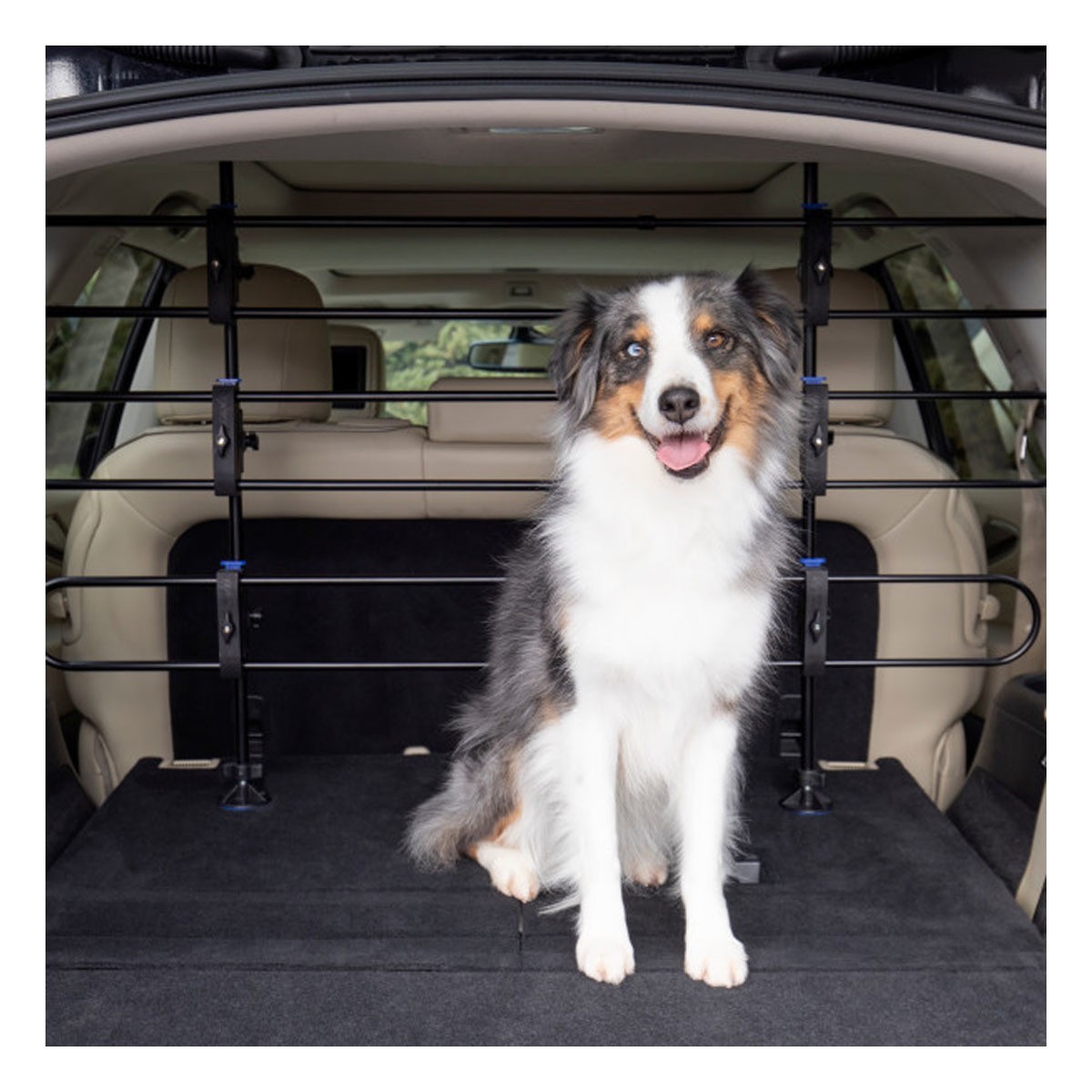 PetSafe Happy Ride Metal Dog Barrier