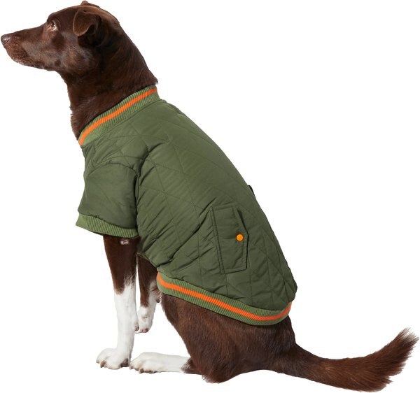 Frisco Mediumweight Insulated Quilted Bomber Dog and Cat Coat