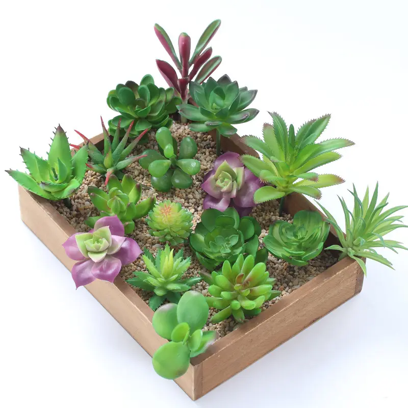 Wholesale Artificial Succulent Plants Simulation Flower Grass Garden Home Landscape Decor Plastic Pvc Outdoor Deck Supplies