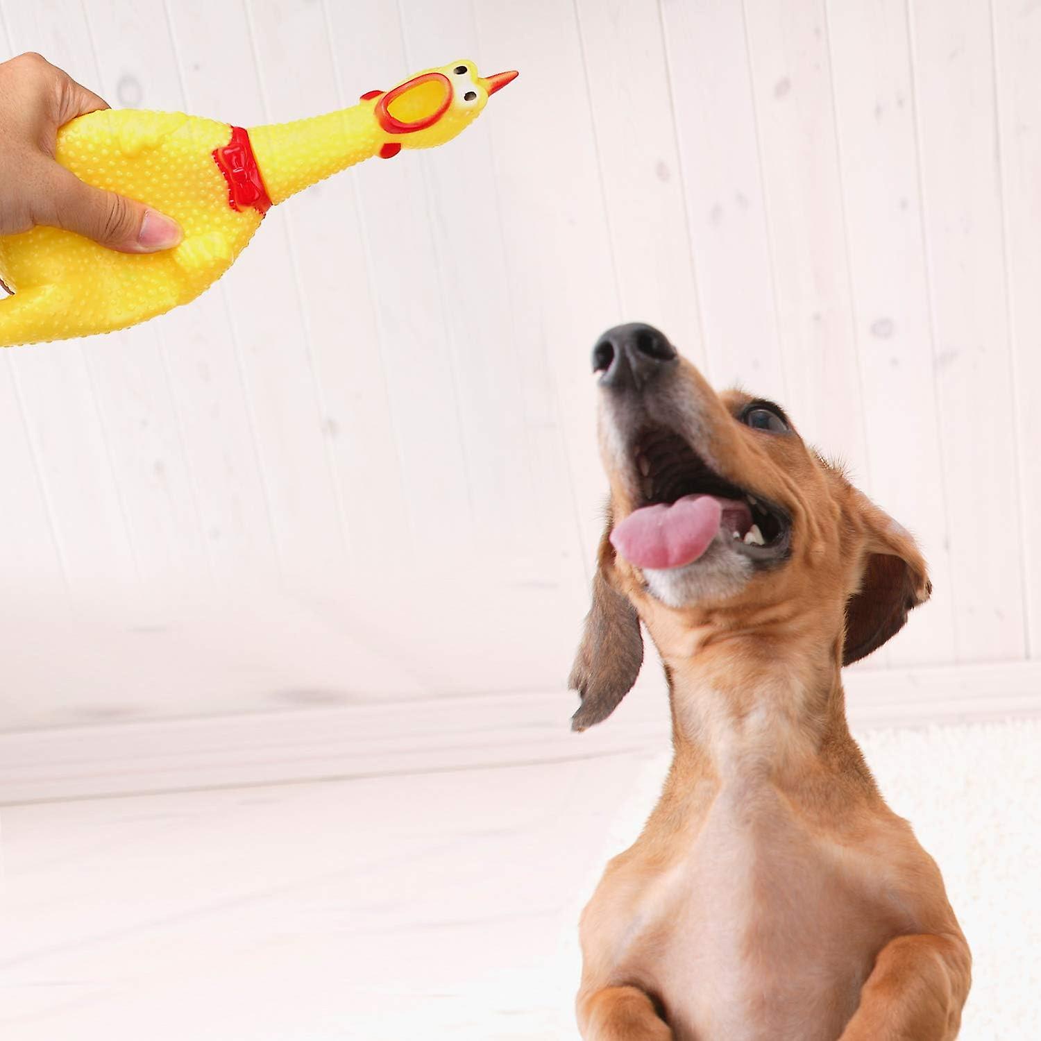 Screaming Chicken Dog Toys，yellow Rubber Squaking Chicken Toy Novelty And Durable Rubber Chicken-s