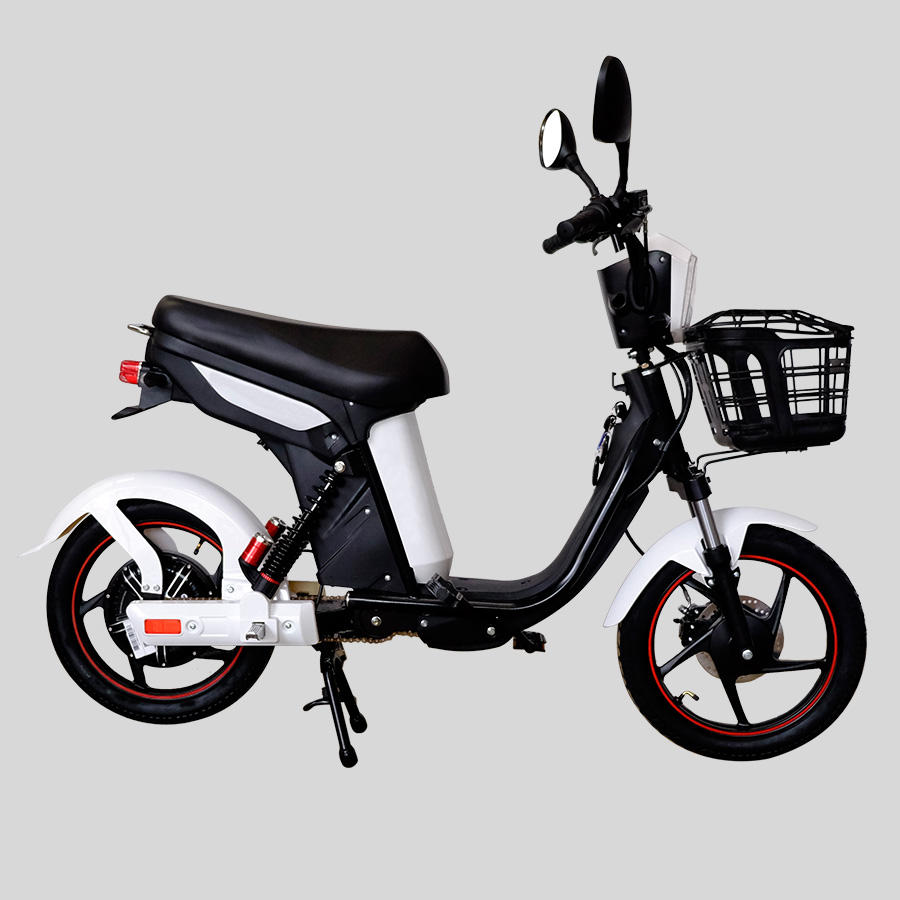 bike electric pakistani rupees price bikes max speed 25 kmh electric bike for viet nam