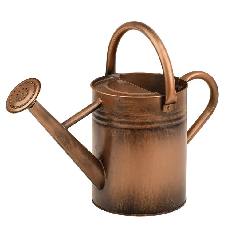 Modern Design Watering Can A Decorative Piece Perfect For Your Home Lawn   Garden Or Indoor Plants Care For Sprinkling Water