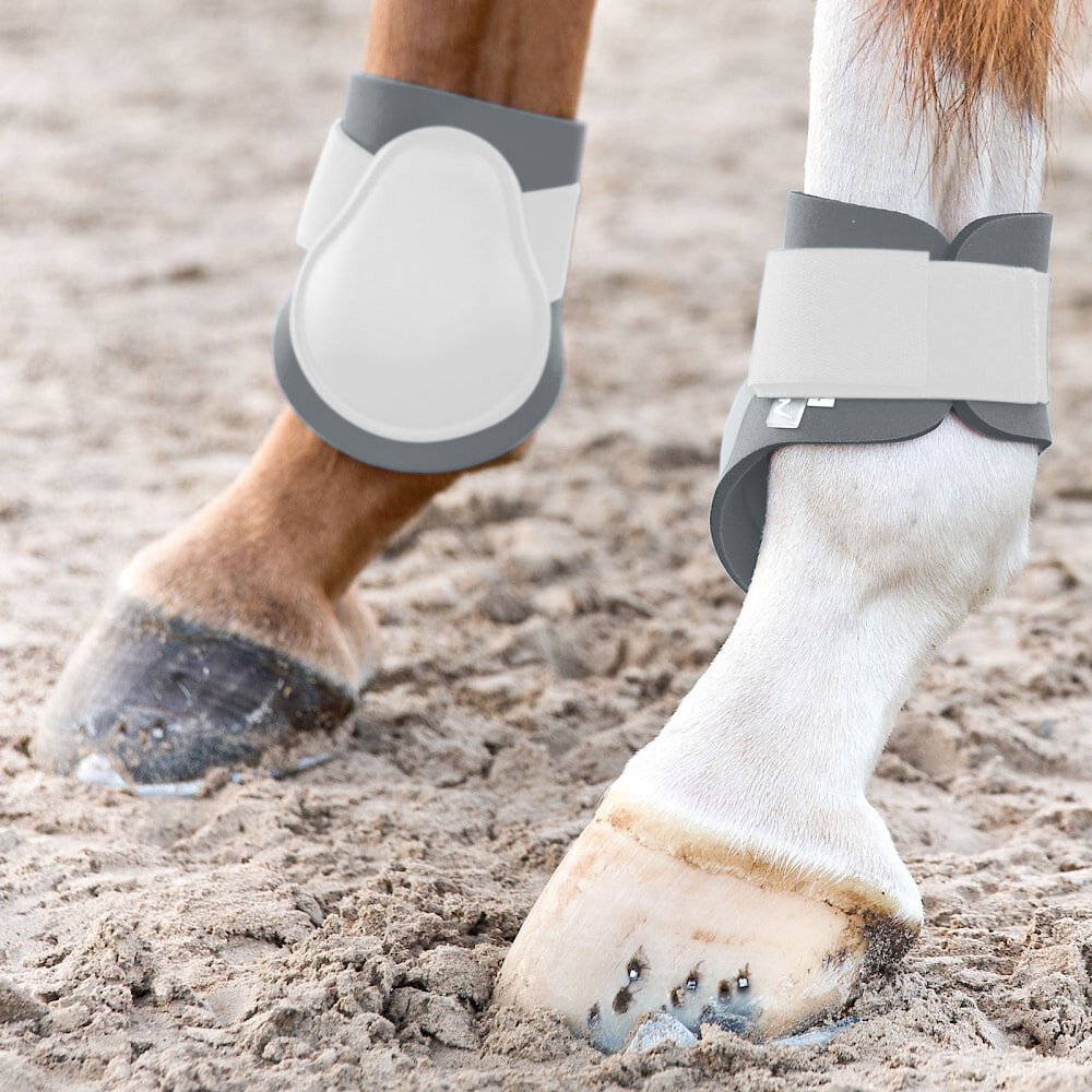 Horze Equestrian Horse Fetlock Boots