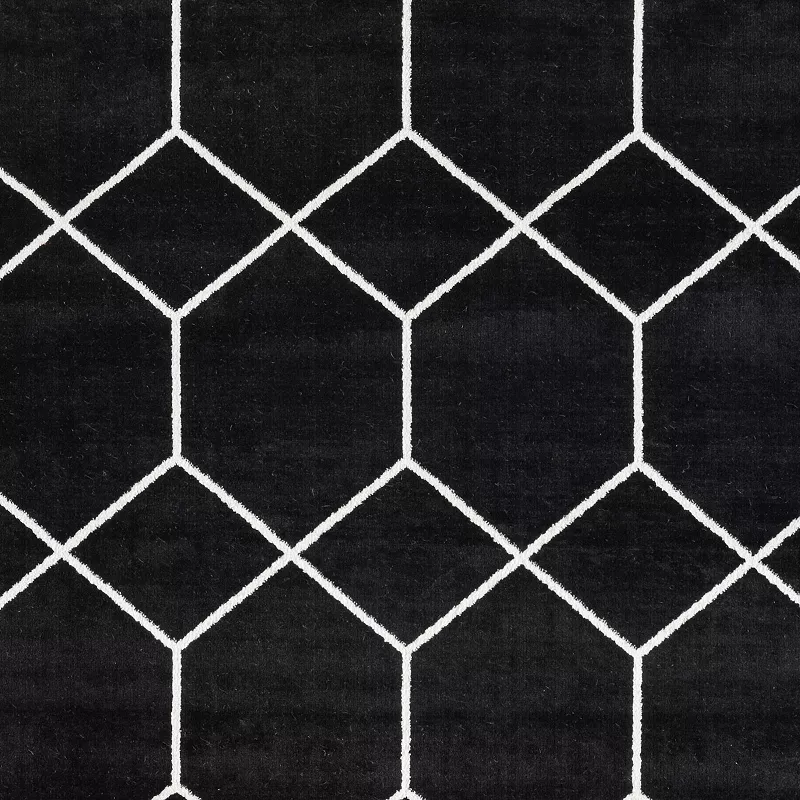 Madison Park Bianca Trellis Geometric Woven Area Rug