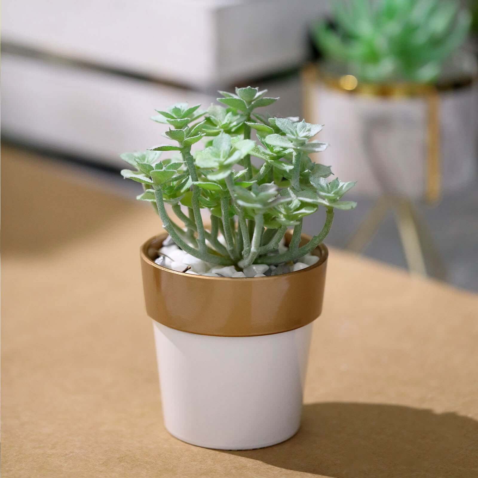 3 Pack White Gold Rimmed Small Flower Plant Pots, Indoor Decorative Planters 3