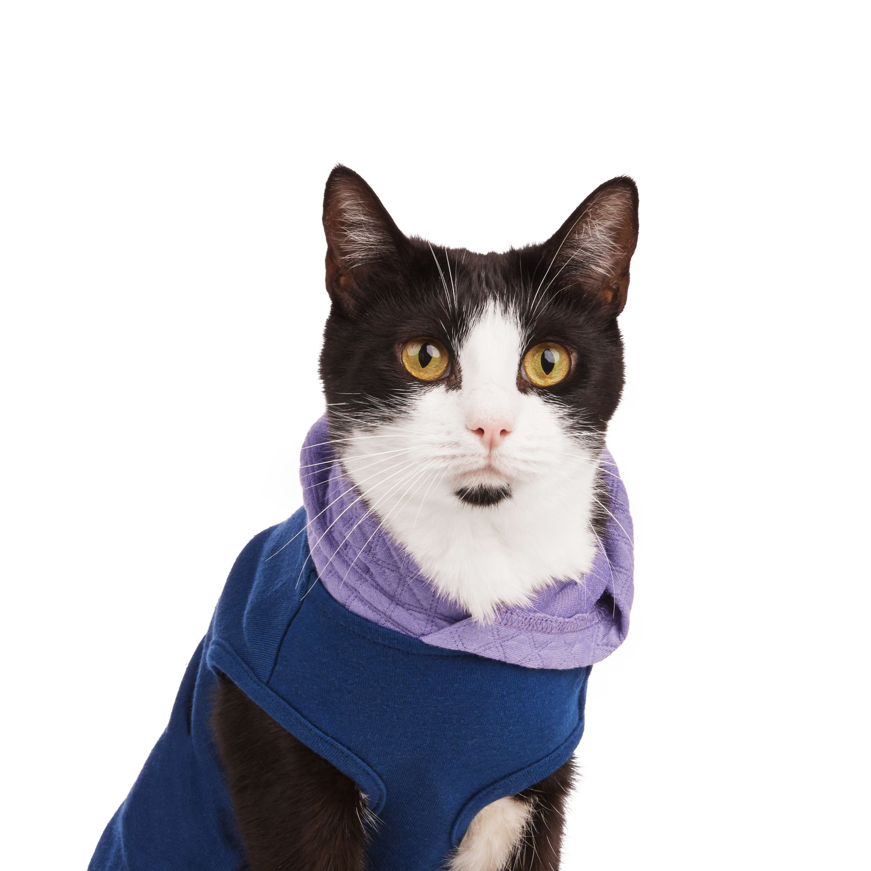 YOULY Caturday Cat Hoodie， Small/Medium