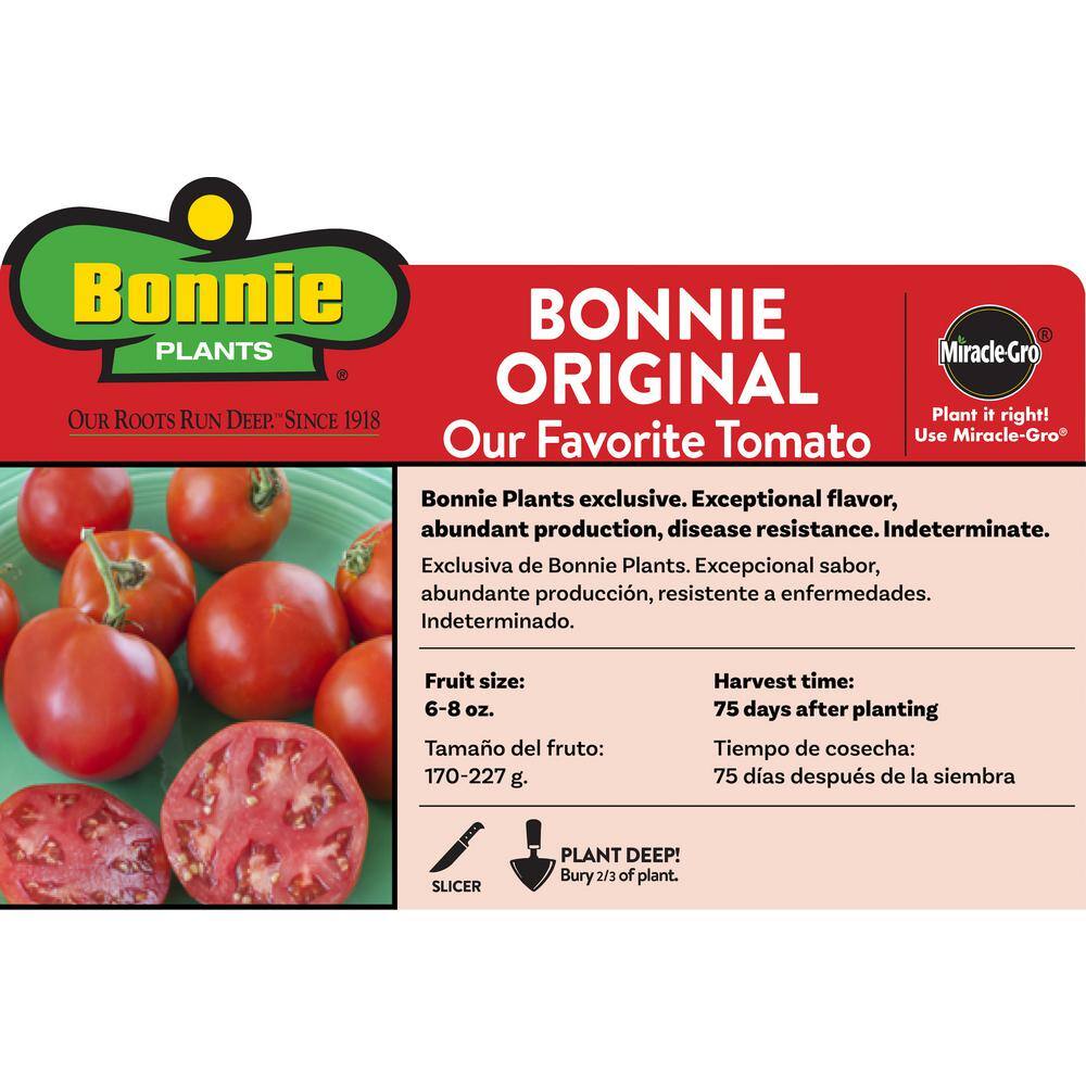 Bonnie Plants 2.32 qt. Bonnie Original Tomato Plant 0202