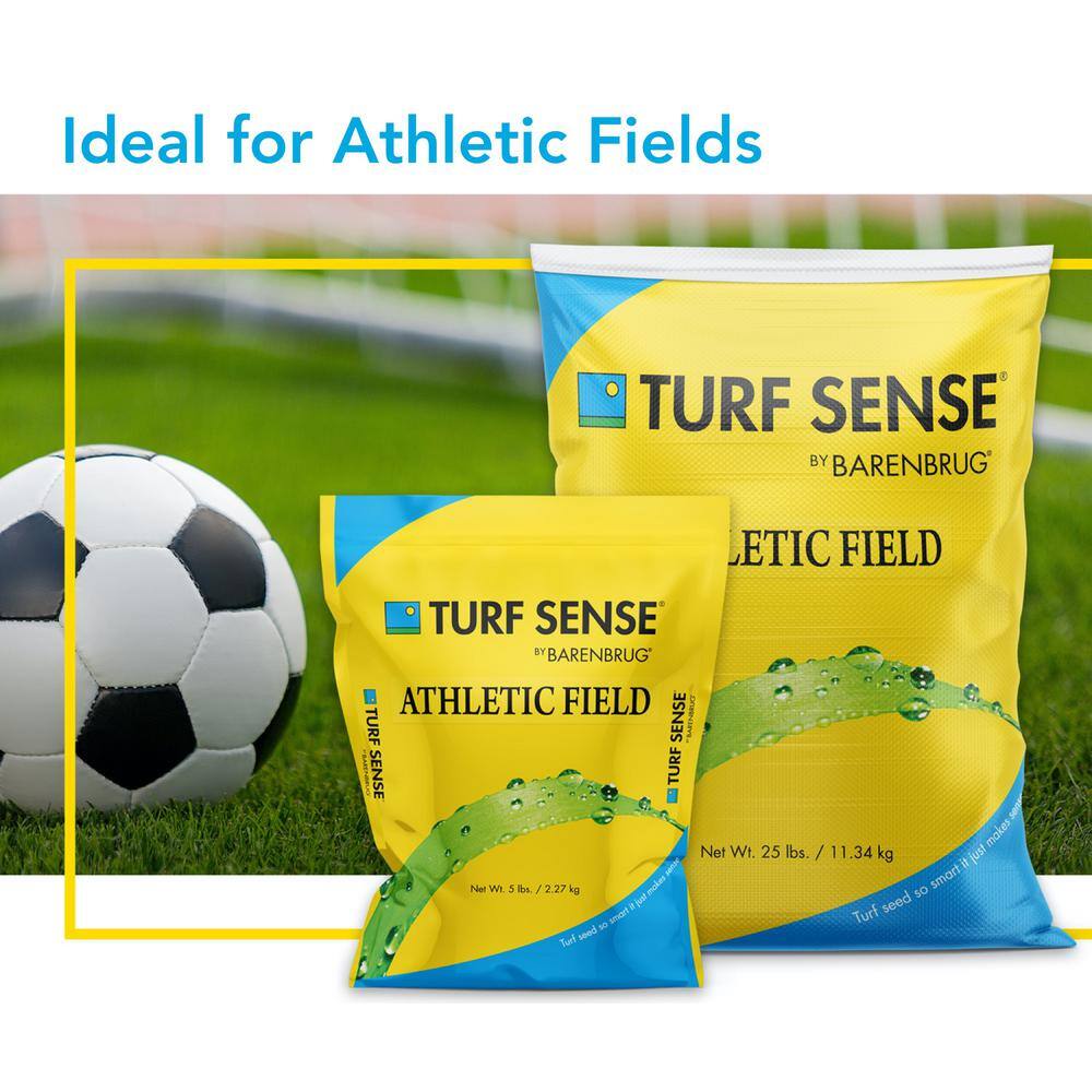 Barenbrug Turf Sense 5 lbs. Athletic Field Mix Grass Seed 25620