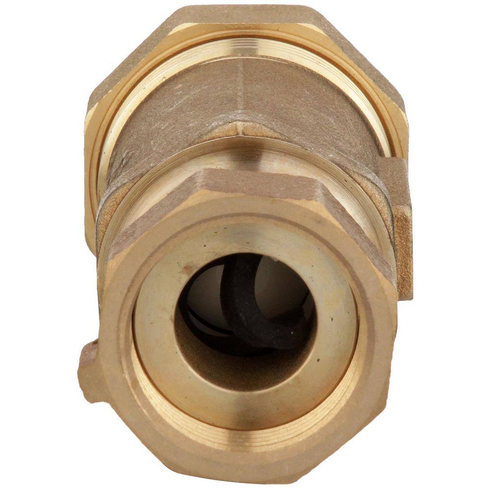 Zurn 1 in. x 1 in. Dual Check Valve 1UFMX1UF-700XL