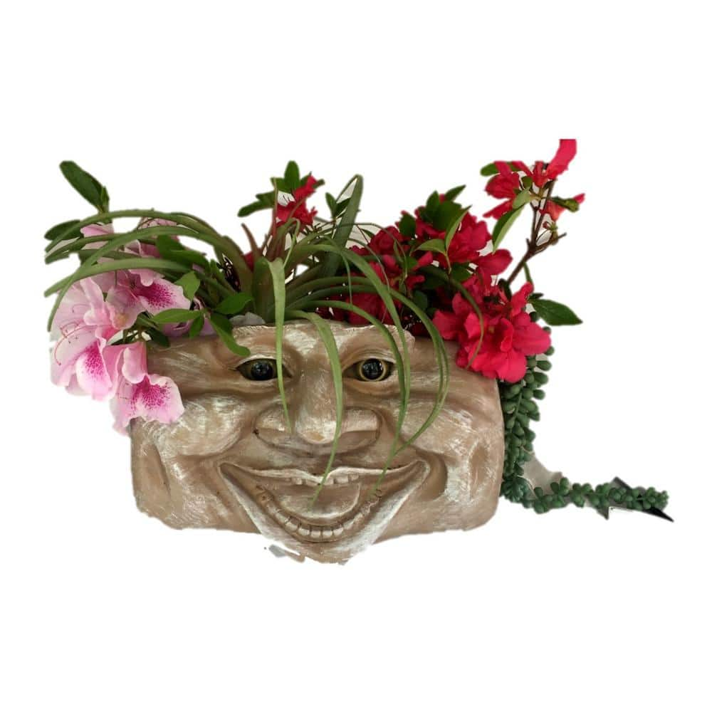 HOMESTYLES Aunt Minnie Stone Wash 10.5 in. Muggly Face Statue Tree and Patio Resin Wall Planter 39647