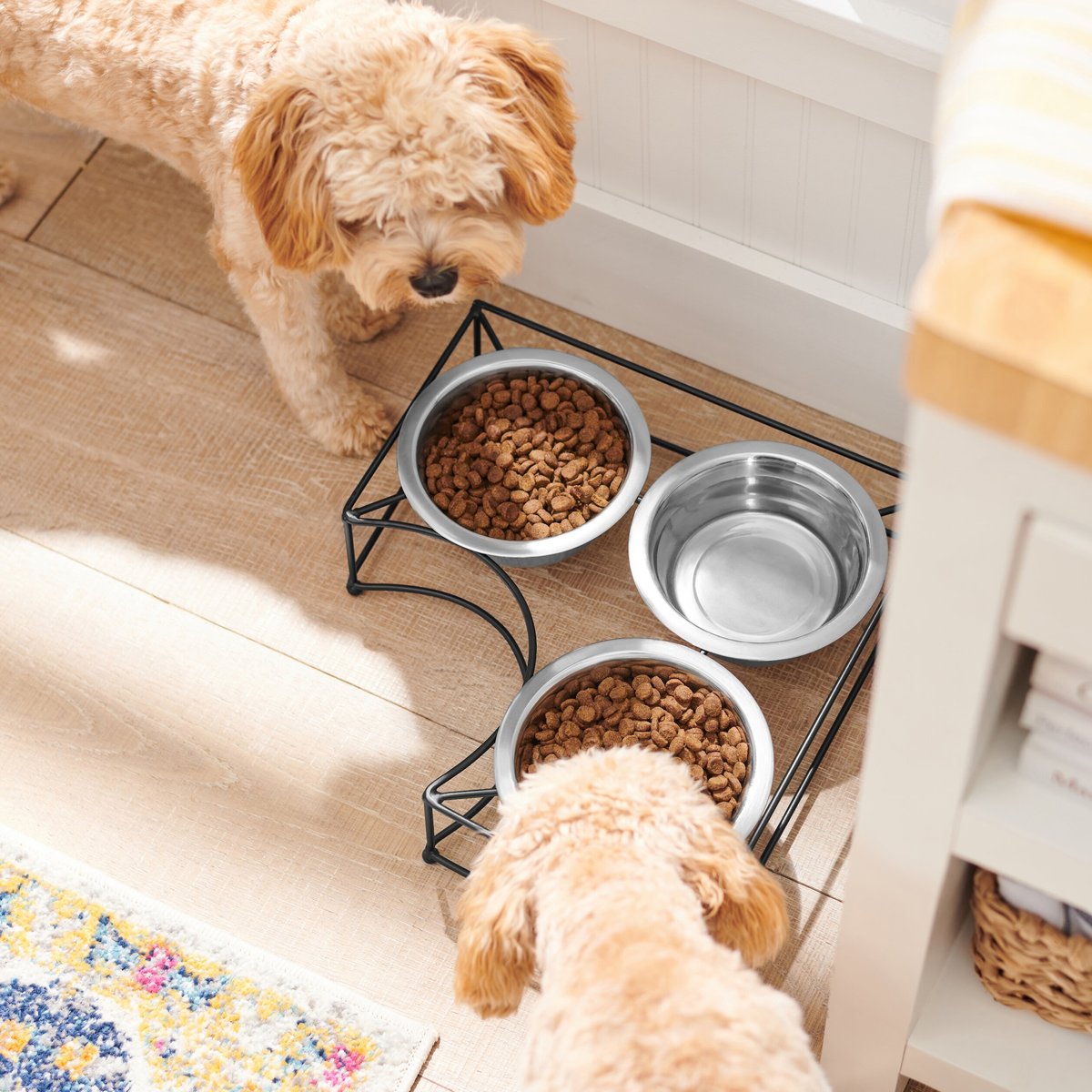 Frisco Multi Pet Feeding Corner 3-Bowls Stainless Steel Dog and Cat Bowl