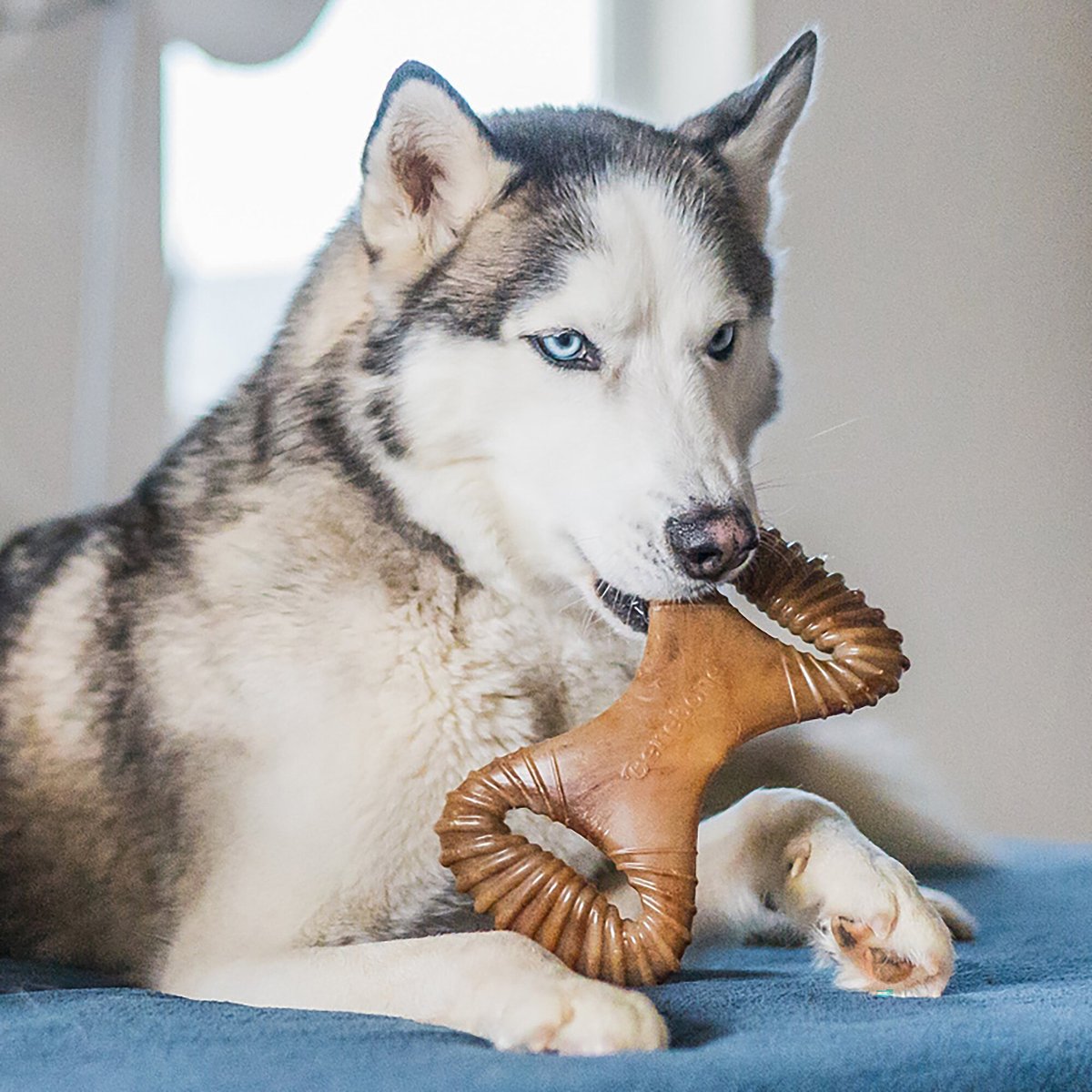 Benebone Bacon Flavor Dental Tough Dog Chew Toy