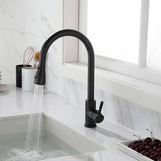 FORCLOVER Single-Handle Pull Out Sprayer Kitchen Faucet in Matte Black in Spot FRIMFTH17MB